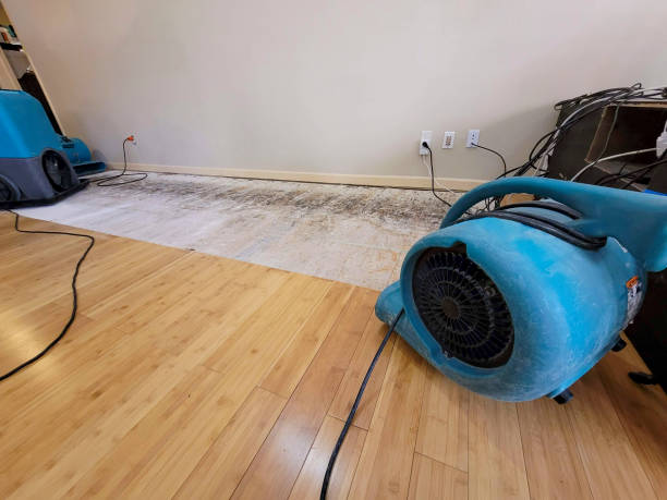 Professional Emergency Water Damage technician working in Brooten, MN